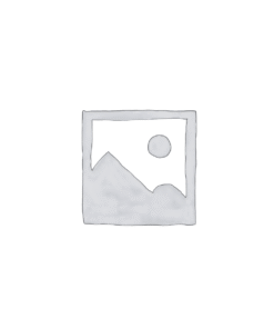 Desarrollo web